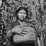 A Warao artisan with a basket she has woven from bora bora (water hyacinth)