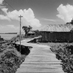 A walkway in a Warao village